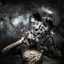 Paranoid Message by Pdevil - Hardcore cover art