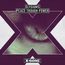 Cover of Peace Through Power