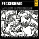 Imagine by Peckerhead, Slugnoid - Hardcore cover art