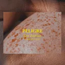 Fast Fashion by Peligre - Hard Techno cover art