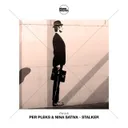 Stalker - Radio Mix by Per Pleks, Nina Sativa - Hard Techno cover art