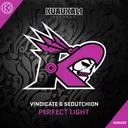 Cover of Perfect Light