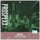 Cover of Perfect Picture