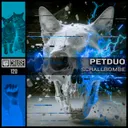 Dreamblast - Original Mix by Petduo - Schranz cover art