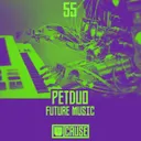 Future Music V2.0 - Original by Petduo - Schranz cover art
