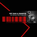 Not Waiting To Be Chosen (Rough) by Petduo, Shadym - Schranz cover art
