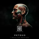 Timeslice - PETDuo Remix by Petduo - Schranz cover art