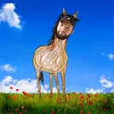 Cover of Petits potards (Harry Potar Remix)