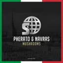 Mushrooms by Pherato, Navras - Hardstyle cover art