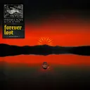 Forever Lost by Phuture Noize, Galactixx - Hardstyle cover art