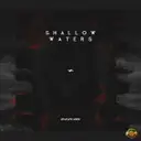 Shallow Waters - Radio Version by Phuture Noize, Snowflake - Hardstyle cover art