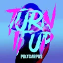 Turn It Up by Polycarpus - Hardstyle cover art