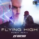 Flying high - DJ Edit by POPR3B3L, Ruboy - Hardstyle cover art