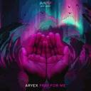 Cover of Pray For Me