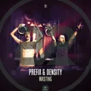 Wasting by Prefix & Density - Rawstyle cover art