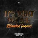 It's What We Are Reloaded (Again) by Primeshock, Geck-O - Hardstyle cover art