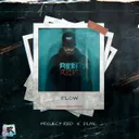 Flow by Project Red, DLMC - Frenchcore cover art