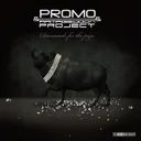 Righteous Infliction of Retribution by Promo, Armageddon Project - Hardcore cover art