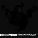 TD anthem 07 by Promo, MC Drokz - Hardcore cover art