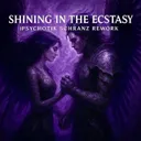 Shining In The Ecstasy (Psychotik Schranz Rework) by Psychotik - Hard Techno cover art
