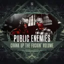 Crank Up The Fuckin' Volume by Public Enemies - Rawstyle cover art