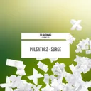 Surge by Pulsatorz - Euphoric Hardstyle cover art
