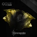 Cover of Pulse - Original Mix