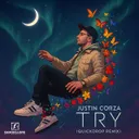 Try - Quickdrop Remix by Quickdrop, Justin Corza - Uk Hardcore cover art