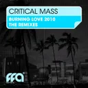 Burnin' Love 2010 - R3hab Remix by R3HAB, Critical Mass - Hardcore cover art