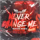 NEVER CHANGE ME - NAYDM Remix by Radera, NAYDM - Rawstyle cover art