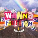 WANNA FEEL HIGH by Radera - Hardstyle cover art