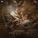 Accumulated Filth - Resurrection Remix by Radical Redemption - Rawstyle cover art