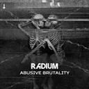 Donald's A Bitch by Radium - Frenchcore cover art