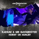 Horny Or Hungry (The Sequel Remix) by Radium, Mr. Bassmeister, The Sequel - Frenchcore cover art