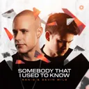 Somebody That I Used To Know by Ran-D, Devin Wild - Hardstyle cover art