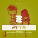 Real Life - Science & Vision Remix by Rave Channel, Science & Vision - Hardstyle cover art