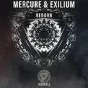 Cover of Reborn