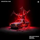 Industrial Raw by Red Hood Squad, SCHAAR, SOLOTOV - Rawstyle cover art