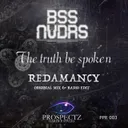 Cover of Redamancy