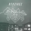 The Future by Redzikez - Hardstyle cover art