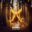 Born In Flames by Ressurectz - Rawstyle cover art