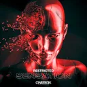 Sensation by Restricted - Hard Techno cover art