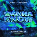 WANNA KNOW - Extended Mix by Revelation, Invector - Rawstyle cover art