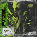 Frail - Remix by Revenge The Fate, Sihk - Frenchcore cover art