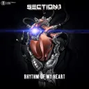Cover of Rhythm Of My Heart - Radio Edit