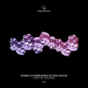 Don't Break It by Rian Wood, Gianni Di Bernardo - Hard Techno cover art
