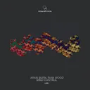 Mind Control by Rian Wood, Aran Burn - Hard Techno cover art