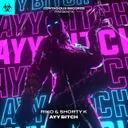 Ayy Bitch - Radio Edit by Riko, Shorty K - Happy Hardcore cover art