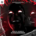 In The Darkness - Radio Edit by Riko, James K - Happy Hardcore cover art