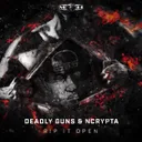 Cover of Rip It Open
